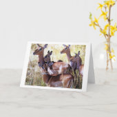 DEZE GROEP HERTEN STUURT JE VERJAARDAGSWENSEN KAART (Gele Bloem)