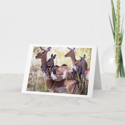 DEZE GROEP HERTEN STUURT JE VERJAARDAGSWENSEN KAART (Voorkant)