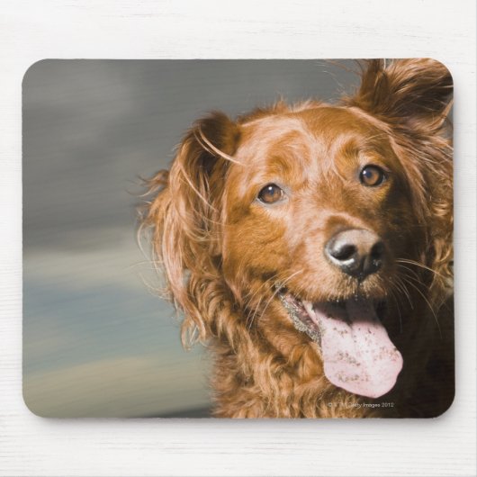 Deze hond is een deel gouden rekruut. muismat (Voorkant)