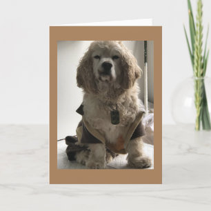 DEZE HOND IS KLAAR OM "GELUKKIGE VERJAARDAG" TE ZE KAART