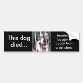 Deze hond stierf bumpersticker (Voorkant)