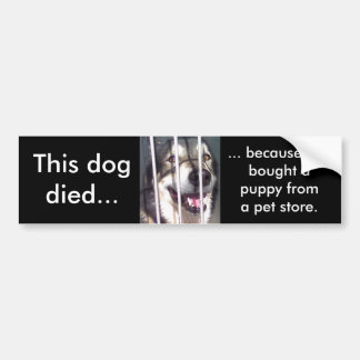Deze hond stierf bumpersticker
