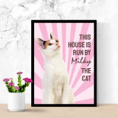 Deze huis wordt gerund door de kat Aangepaste katp Poster
