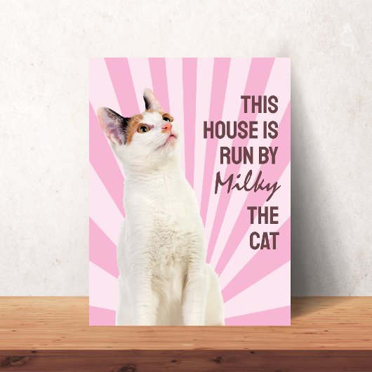 Deze huis wordt gerund door de kat Aangepaste katp Poster
