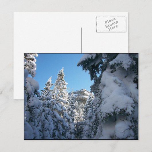 Deze kant naar de top. briefkaart (Voorkant / Achterkant)