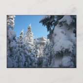 Deze kant naar de top. briefkaart (Voorkant)