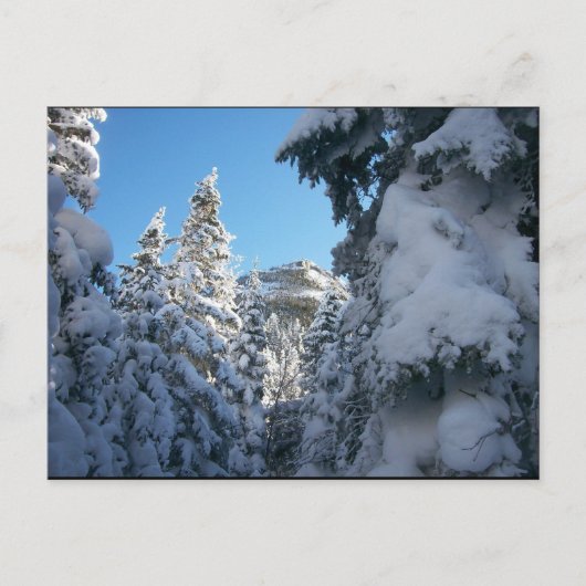 Deze kant naar de top. briefkaart (Voorkant)