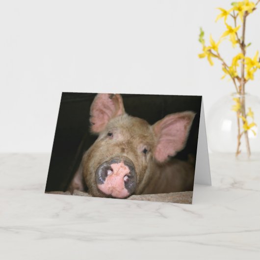 Deze kleine Piggy zegt dat je beter moet worden Kaart (Gele Bloem)