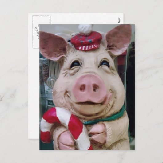 DEZE KLEINE PIGGY ZEGT MERRY CHRISTMAS FEESTDAGENKAART (Voorkant / Achterkant)