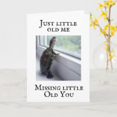 DEZE KLEINE SCHILDPAD IS EEN KOMIEK KAART (Gele Bloem)