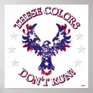 Deze kleuren rennen niet! Eagle Stars & Stripes Poster