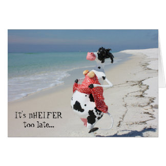 Deze koe probeert altijd om de LCOWrage UDDERS te