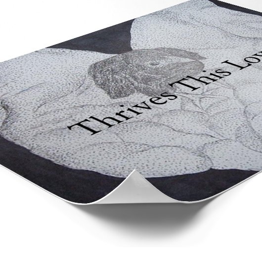 deze liefde gedijt poster (Hoek)