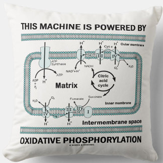 Deze machine aangedreven door oxidatieve fosforyle kussen