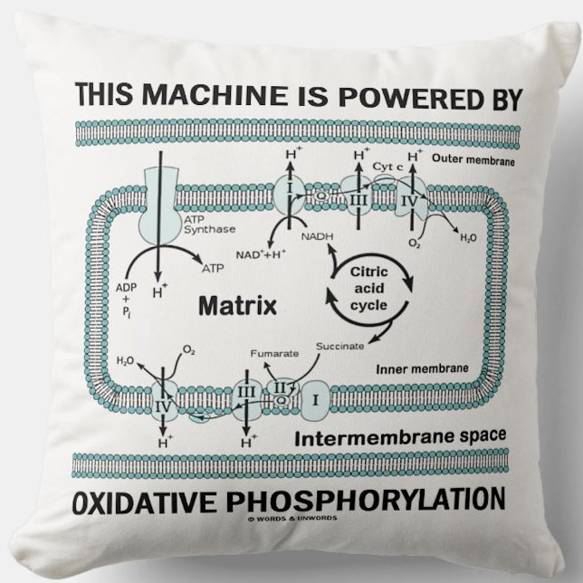 Deze machine aangedreven door oxidatieve fosforyle kussen (Throw pillow for anyone powered by oxidative phosphorylation (& that means you))