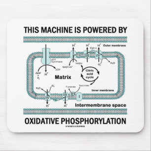 Deze machine aangedreven door oxidatieve fosforyle muismat