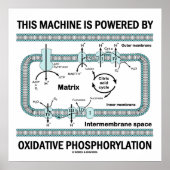 Deze machine aangedreven door oxidatieve fosforyle poster (Voorkant)