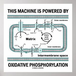 Deze machine aangedreven door oxidatieve fosforyle poster