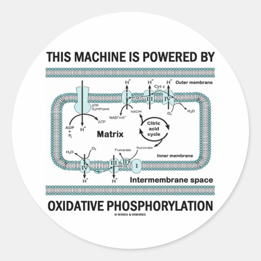 Deze machine aangedreven door oxidatieve fosforyle ronde sticker (Voorkant)