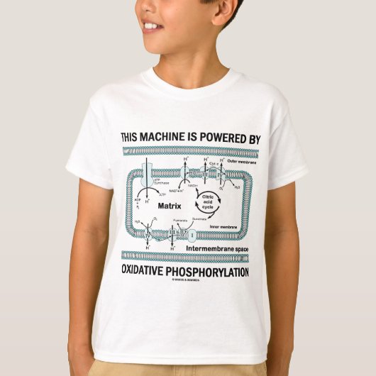Deze machine aangedreven door oxidatieve fosforyle t-shirt (Voorkant)