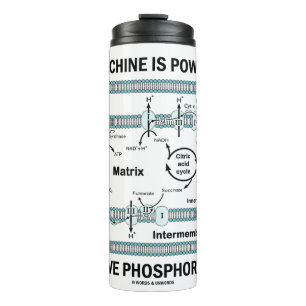 Deze machine aangedreven door oxidatieve fosforyle thermosbeker