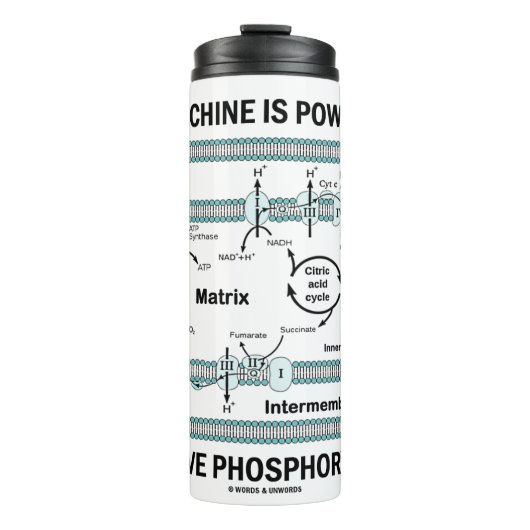 Deze machine aangedreven door oxidatieve fosforyle thermosbeker (Voorkant)