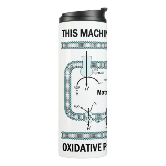 Deze machine aangedreven door oxidatieve fosforyle thermosbeker (Gedraaid links)
