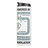 Deze machine aangedreven door oxidatieve fosforyle thermosbeker (Geroteerd rechts)