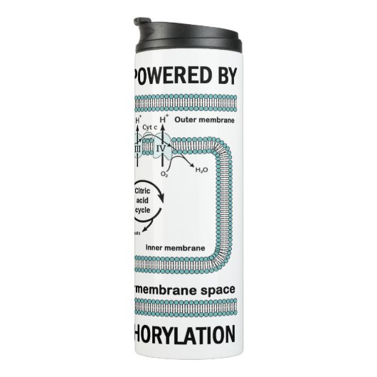 Deze machine aangedreven door oxidatieve fosforyle thermosbeker (Geroteerd rechts)