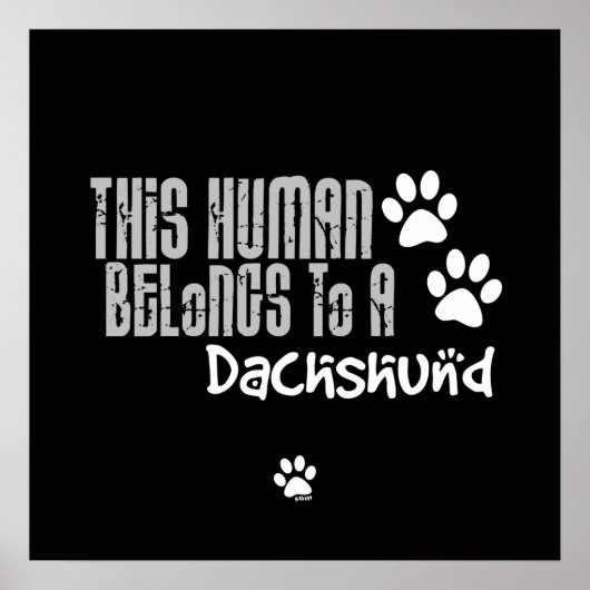 Deze mens behoort tot een Dachshund Poster (Voorkant)