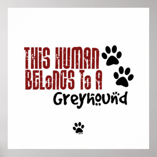 Deze mens behoort tot een Greyhound Poster