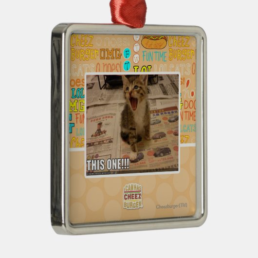 Deze! Metalen Ornament (Rechts)