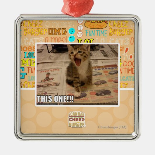 Deze! Metalen Ornament (Voorkant)