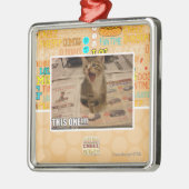 Deze! Metalen Ornament (Links)