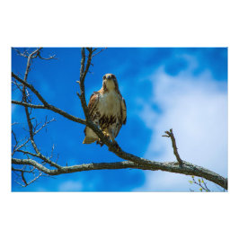 DEZE OGEN 36 X 24 Kodak Pro Foto Afdruk