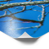 DEZE OGEN 36 X 24 Kodak Pro Foto Afdruk (Hoek)