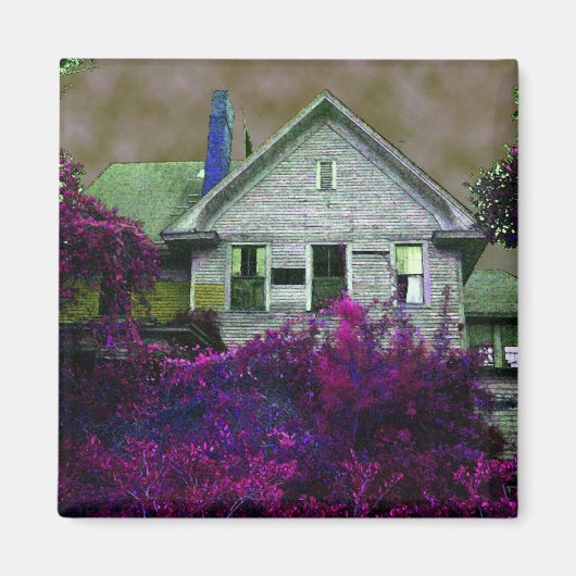 Deze oude huismagneet magneet (Voorkant)