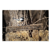 Deze plek is voor de vogels