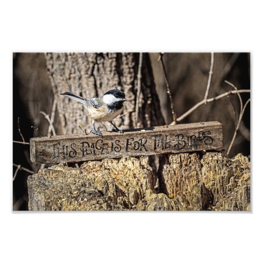 Deze plek is voor de vogels foto afdruk (Voorkant)