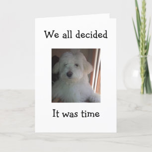 DEZE POP ZAL ZEGGEN DAT JE BIRTHDAG VOOR JE GROEP  KAART