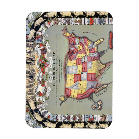 DEZE PORCINEOGRAPH, C1876 MAGNEET (Verticaal)