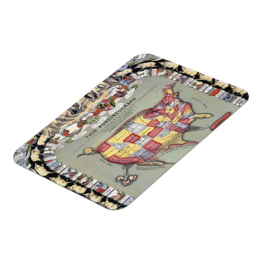 DEZE PORCINEOGRAPH, C1876 MAGNEET (Linkerzijde)