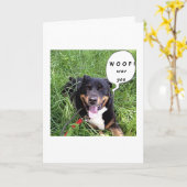 DEZE PRAATBARE HOND ZEGT WOOF - IK HOU VAN JOU - T KAART (Gele Bloem)