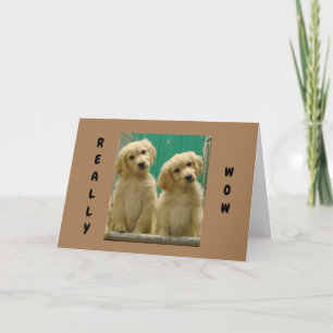 DEZE PUPPY'S KUNNEN NIET GLOVEN DAT JE "40" BENT KAART