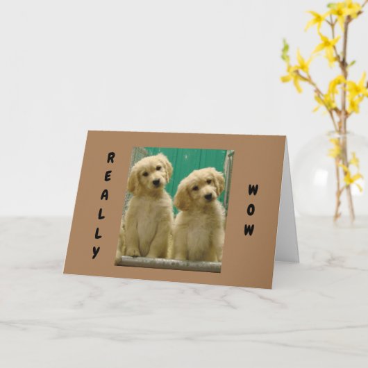 DEZE PUPS KUNNEN NIET GELOVEN DAT JE "40" BENT KAART (Gele Bloem)