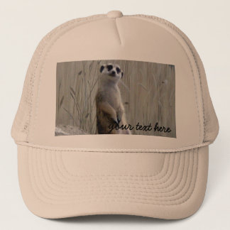 Deze schattige vrachtwagenchauffeur personaliseren trucker pet