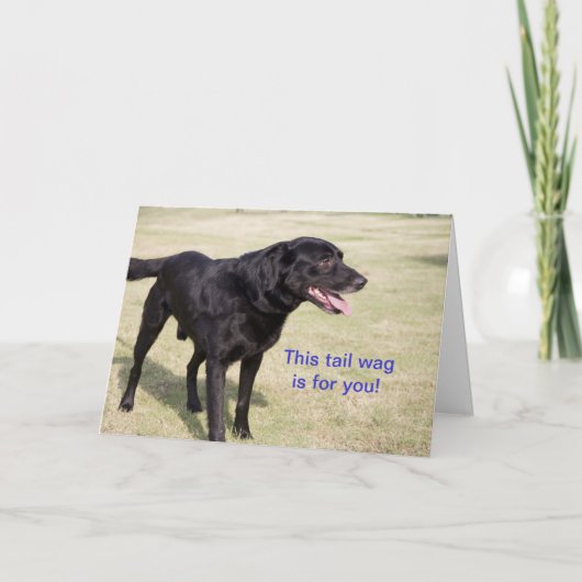 Deze staartwaag is voor jou. Black Lab-Kaart Kaart (Voorkant)