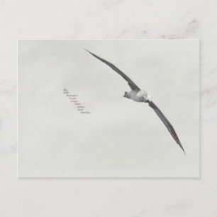 "deze vleugels" briefkaart