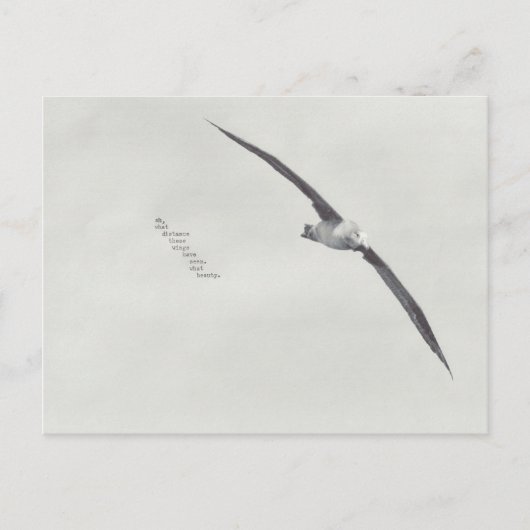 "deze vleugels" briefkaart (Voorkant)