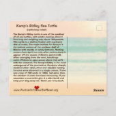 Deze zee schildpad dreigt te verdwijnen — postbode briefkaart (Achterkant)